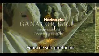 Ganacor S.R.L. Consignataria