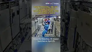 China's Shenzhou-18 crew continues to advance scientific experiments, daily operations in space