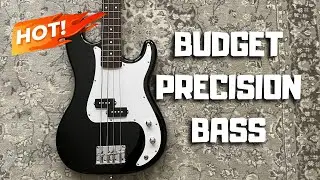 $120 FOR A BASS? Harley Benton PB-20 Review & Sound Demo