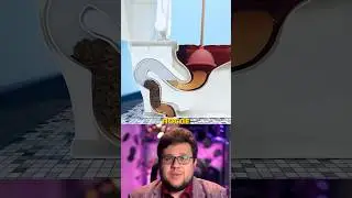 How to unclog a toilet🚽