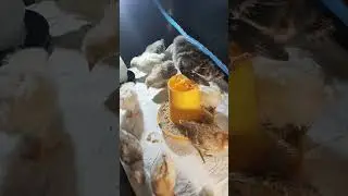 Время тренировок! 