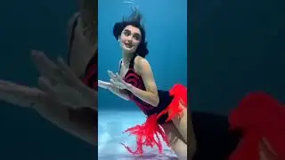 20 ноября 2021 г.