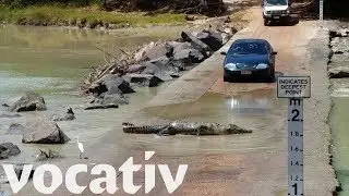 Are You Brave Enough For Australia’s Deadly Crocodile Crossing?