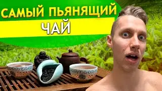 Какой чай пьянит лучше: Шу Пуэр или Да Хун Пао ? Пьянящий чай Китайский существует или это миф ?