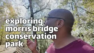 Hidden Gem Unveiled: Morris Bridge Conservation Park in Tampa