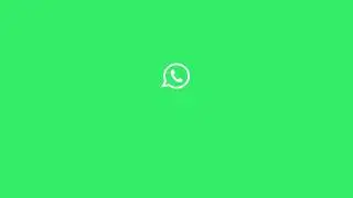 WhatsApp Logo Animation - After Effects 2022 