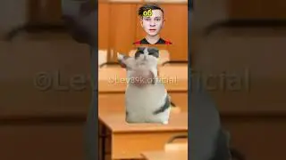 Кот заставил учителя англиского материться😱#хочуврек#котики#футажи#shorts Автор звука:@kikkadim