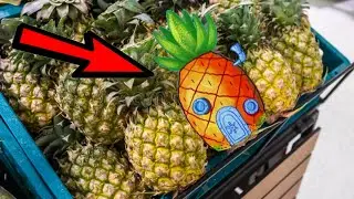 THE MYSTERY OF SPONGEBOB'S HOUSE