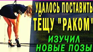 Теща СХВАТИЛА за БОЛТ, теща пригалубила, истории из жизни