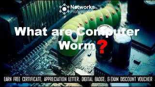 What is a Computer Worm? | Cybersecurity Tools, Concepts, and Fundamentals |