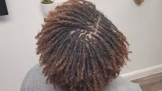 Loc restoration services on Micro locs | Mukisa locs | Plantation,  Florida