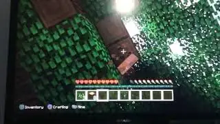 Minecraft pt 2