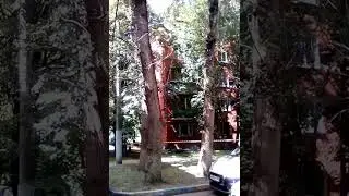 Жилищник Академического района делает ремонт в доме Винокурова 15 к 2. Часть 3.