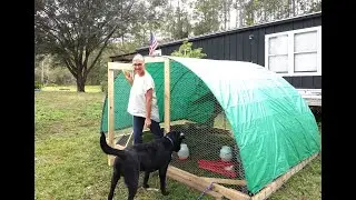 First Time With Meat Birds & We Build Them Our Favorite Chicken Tractor