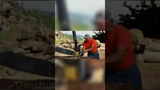 Принесли две совсем не обычные бензопилы🪵