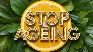 STOP Ageing With These NUTRITION TIPS!