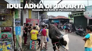Eid Al Adha Atmosphere In Jakarta Residential Area | Eid Al Adha In Jakarta Indonesia