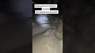 Там где волк срет