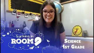 Animal and Plant Families | 1st Grade Science | Teaching In Room 9
