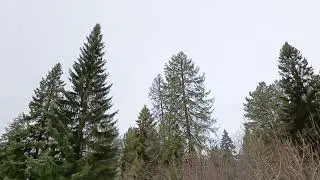 Зимняя песня
