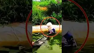 حيلة ذكية لحماية نفسه من عناد السمكة!!
