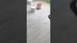 Обычная стройка в России. Прораб и рабочий общаются с помощью голосового переводчика