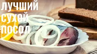 НЕЖНАЯ И ЖИРНАЯ Скумбрия СУХОГО посола: Как Засолить Скумбрию Быстро И Вкусно!