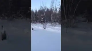 Крузак 80 в снегу