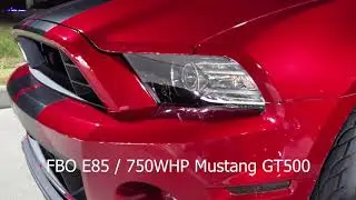 "ThatGuyMarin" 750WHP E85 FBO Shelby GT500 Rolls with 800WHP D1X Procharged Camaro SS