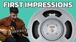 Celestion Alnico 100; Jame's first impressions
