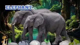 Learn To Speak Filipino - Tagalog/English Translation Video