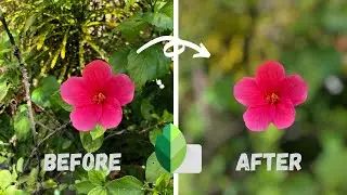 How to Blur Background Using snapseed Malayalam | simple method to blur background |