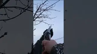Вот это стрельба!!! Охота на ворону  