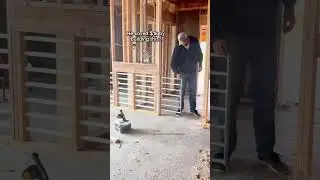 He saved $1k by building this (For his dog)…🐕