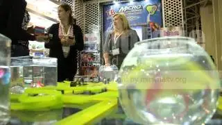 Экспоцентр 2013
