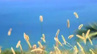 AutoTest: 20110828-1307-HD Quality (960x720)