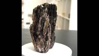 Black Tourmaline & Gold Mica - 221