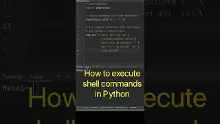 Python execute shell commands