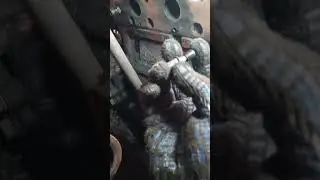 16 ноября 2023 г.