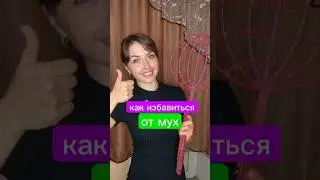 как избавиться от мух