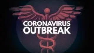 Why do Bats carry so many diseases? (like Coronavirus).
