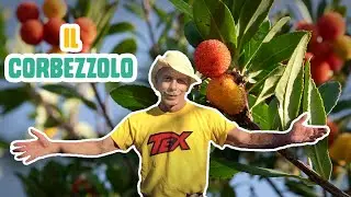 GIOVA LOVES NATURE 🌳 - Ep.32 - Il CORBEZZOLO