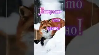 Доброе утро!... Зима!❄️❄️❄️