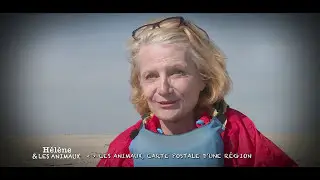 Teaser : Ces animaux, carte postale d'une région.