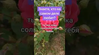 Знаете, кто на самом деле любит?