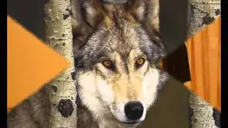 Городской конкурс на лучшее прочтение стихотворений Мусы Джалиля
