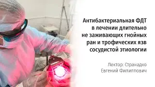 Антибактериальная ФДТ в лечении длительно не заживающих гнойных ран и трофических язв