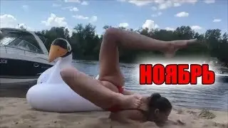 Приколы Ноябрь 2018 #9 Дурачки по жизни!