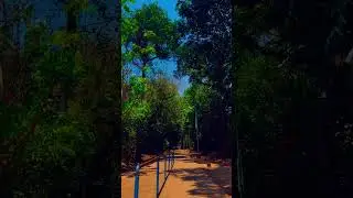pala nala........  #keralagram