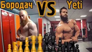 Бородач VS Yeti. Шахматный баттл